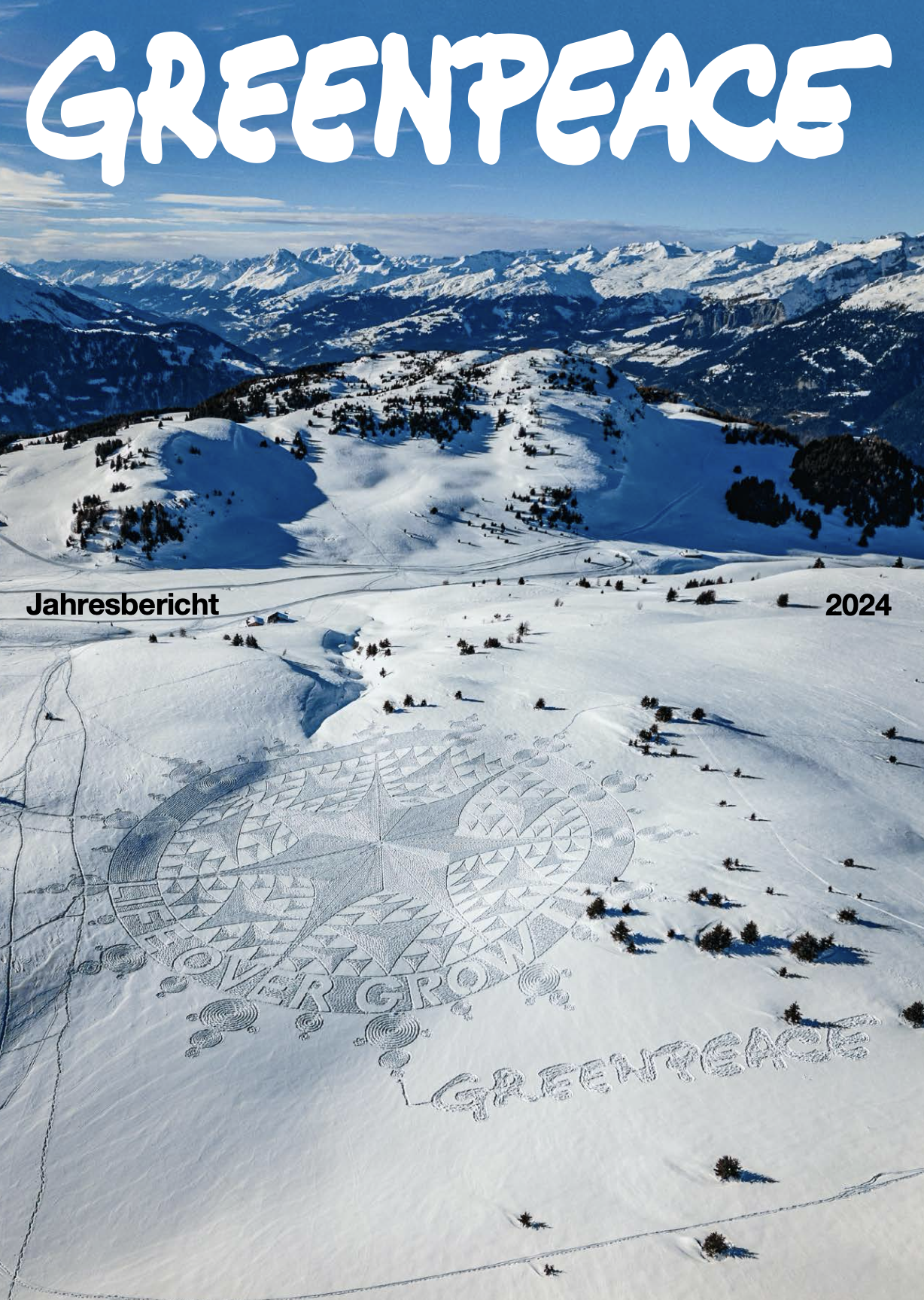 Greenpeace Schweiz Jahresbericht 2024